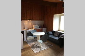 96 tuiles bas Saint Flour